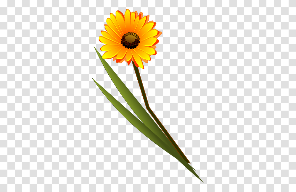 Gerbera Clipart, Plant, Flower, Blossom, Petal Transparent Png