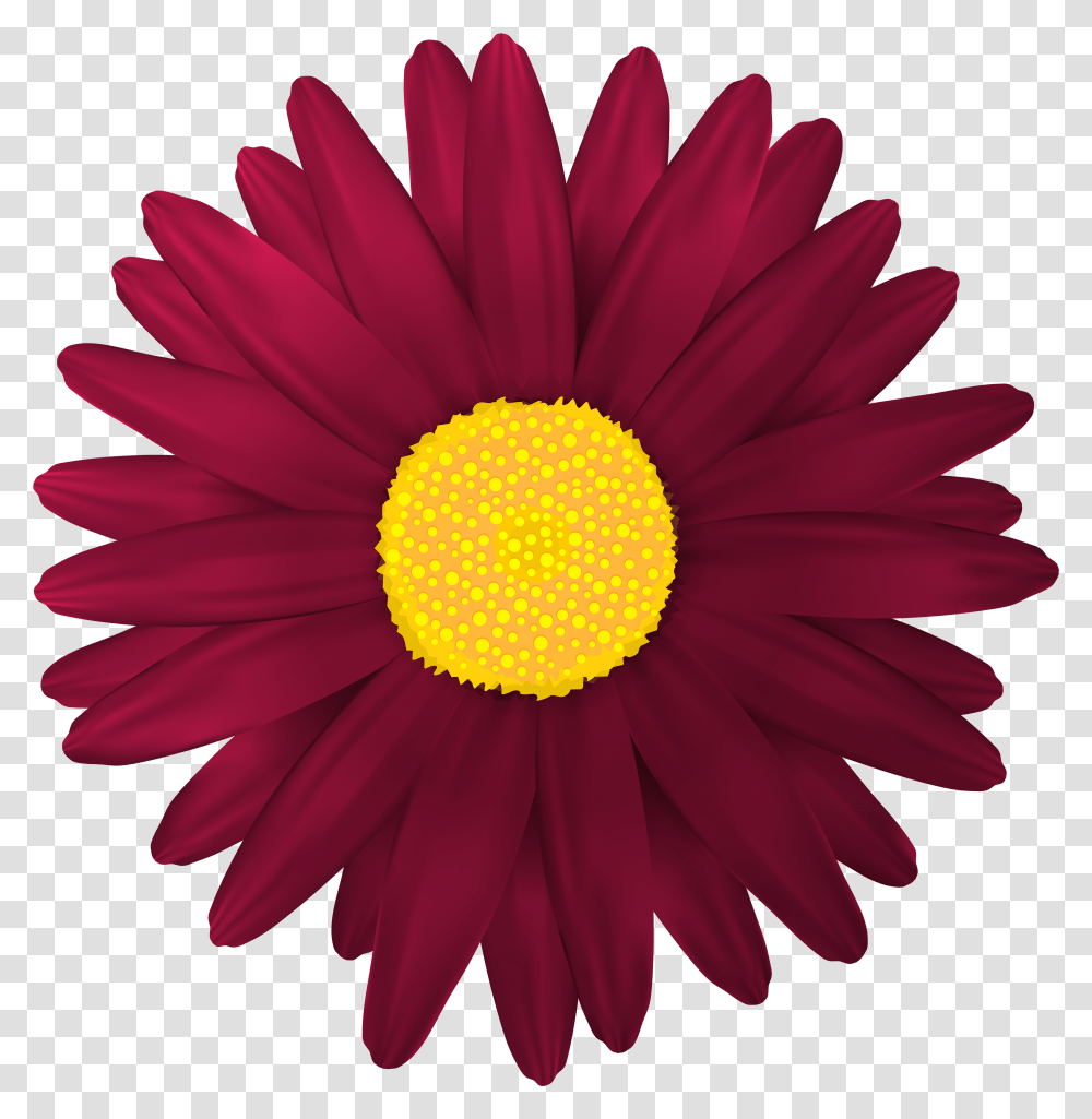 Gerbera Clipart Red Flower Odd Flowers Transparent Png