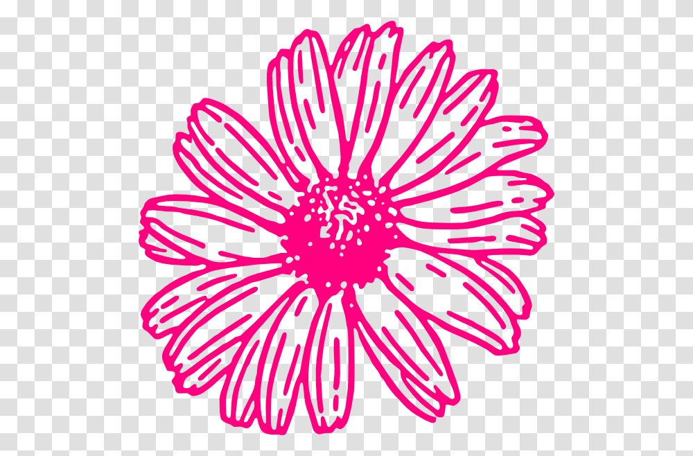 Gerbera Daisy Clipart, Plant, Petal, Flower, Blossom Transparent Png