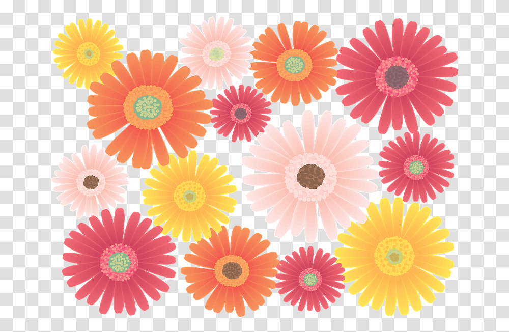 Gerbera Flower Clipart Free Download Hair Tie, Pattern, Floral Design, Graphics, Daisy Transparent Png