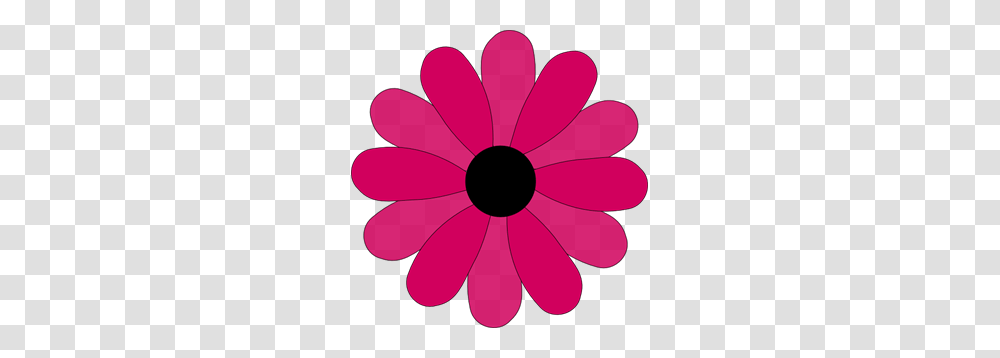 Gerbera Images Icon Cliparts, Plant, Petal, Flower, Blossom Transparent Png