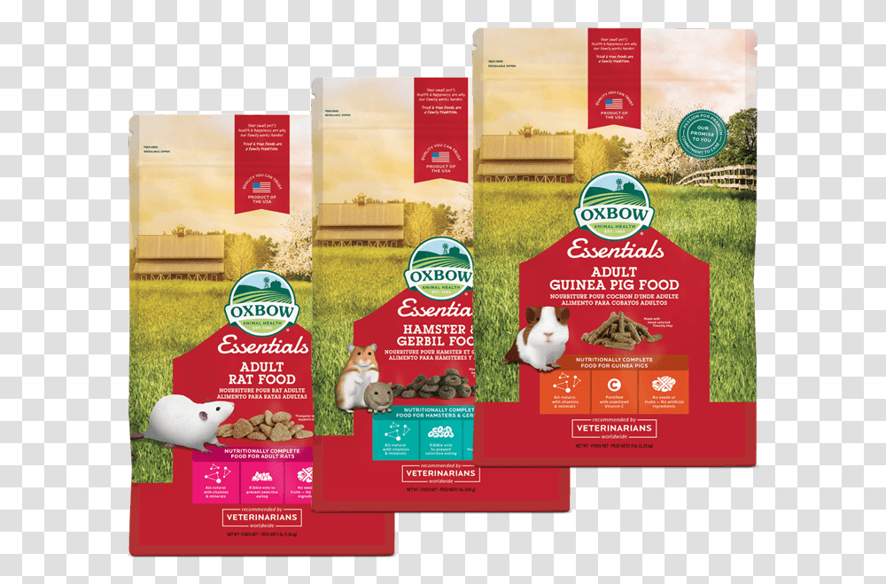 Gerbil Oxbow Guinea Pig Food, Flyer, Poster, Paper, Advertisement Transparent Png