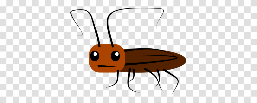 German Cockroach Pest American Cockroach Drawing, Animal, Airplane, Aircraft, Vehicle Transparent Png