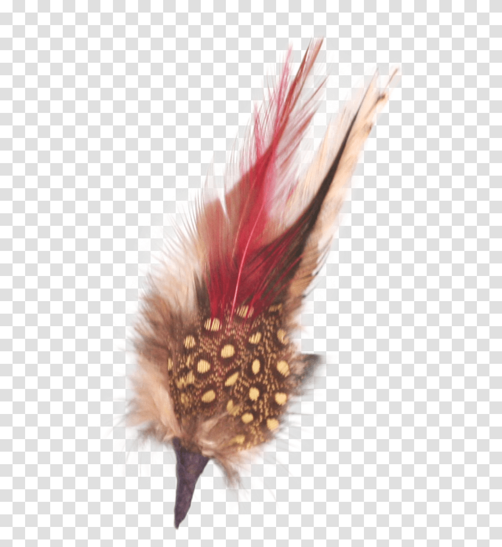 German Hat Single Feather Decor Whitebrown Hat Feather, Plant, Anther, Flower, Petal Transparent Png