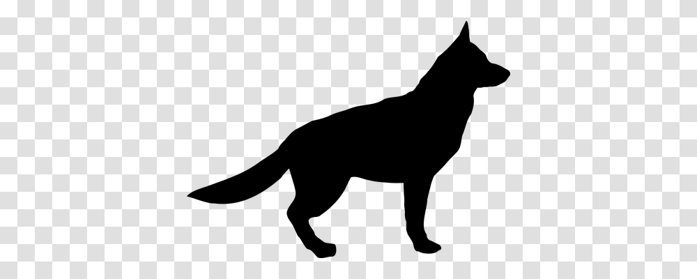 German Shepherd Animals, Gray, World Of Warcraft Transparent Png