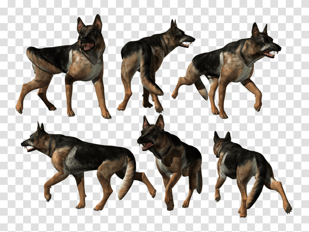 German Shepherd, Animals, Dog, Pet, Canine Transparent Png