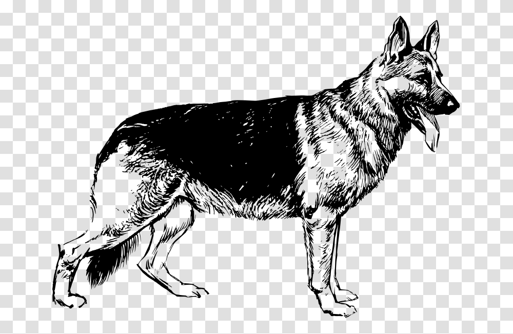 German Shepherd, Animals, Gray, World Of Warcraft Transparent Png