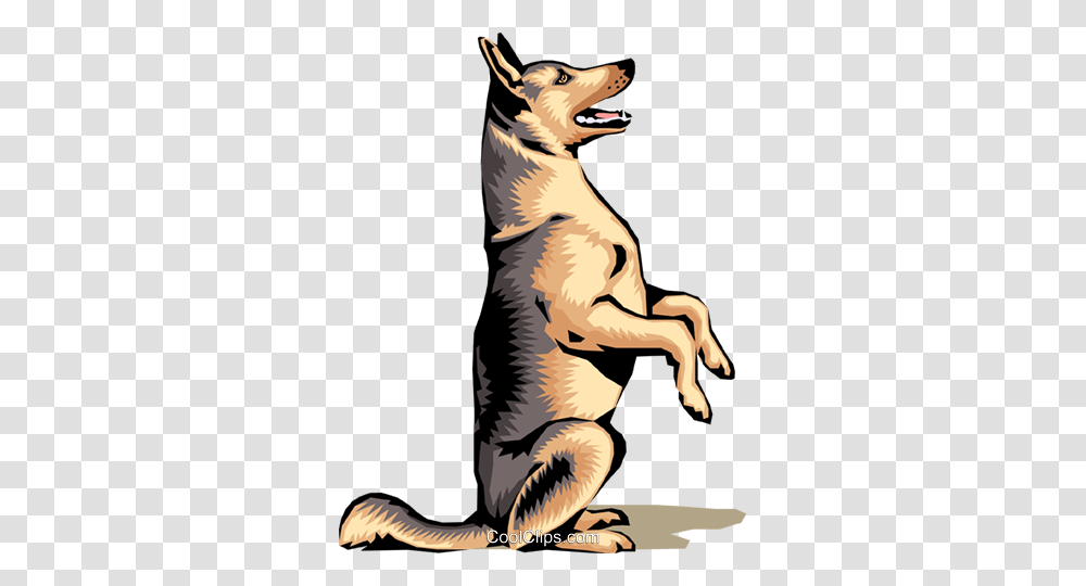 German Shepherd, Animals, Mammal, Canine, Kangaroo Transparent Png