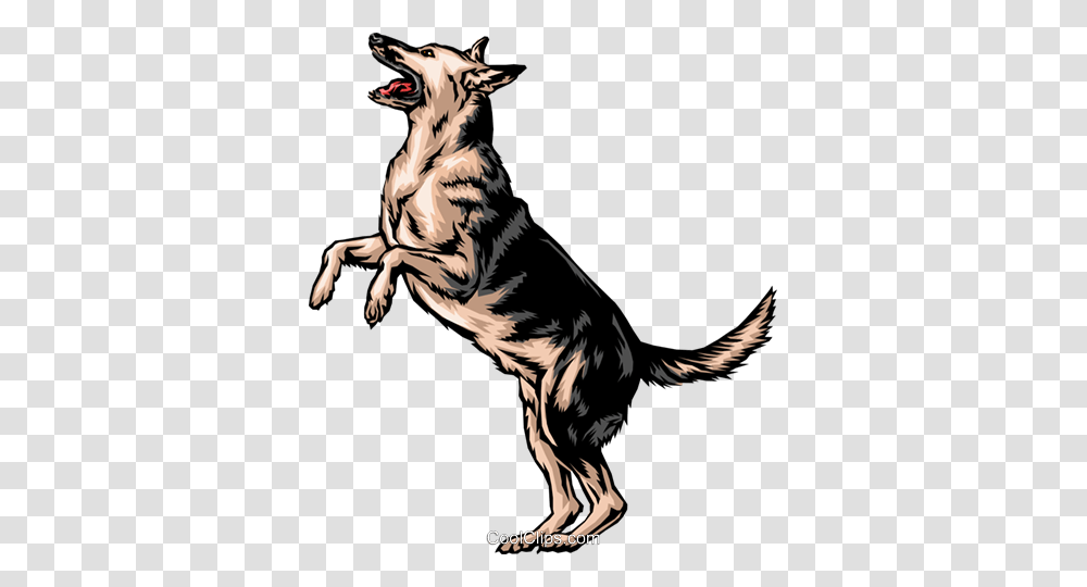 German Shepherd, Animals, Tiger, Wildlife, Mammal Transparent Png