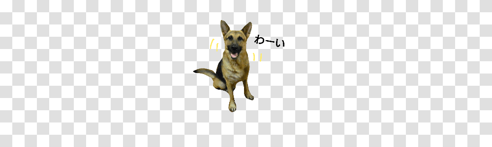 German Shepherd Dogs Stamp Line Stickers Line Store, Pet, Canine, Animal, Mammal Transparent Png