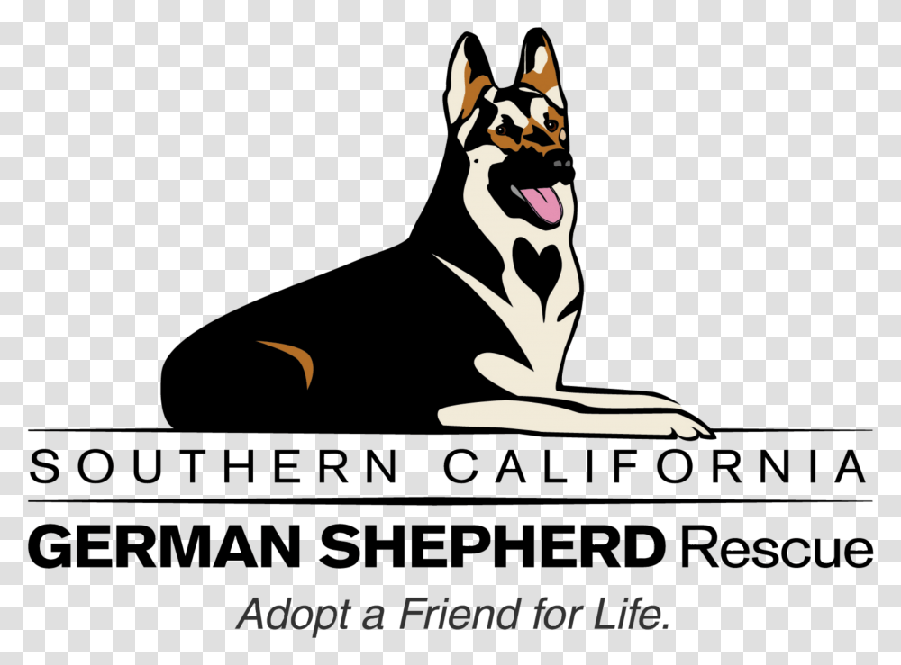 German Shepherd German Shepherd, Pet, Animal, Mammal, Canine Transparent Png