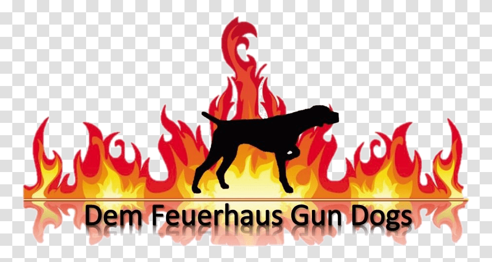German Shorthair Pointer Dem Feuerhaus Gun Dogs Gsp Fire Clipart, Flame, Text, Bonfire, Outdoors Transparent Png