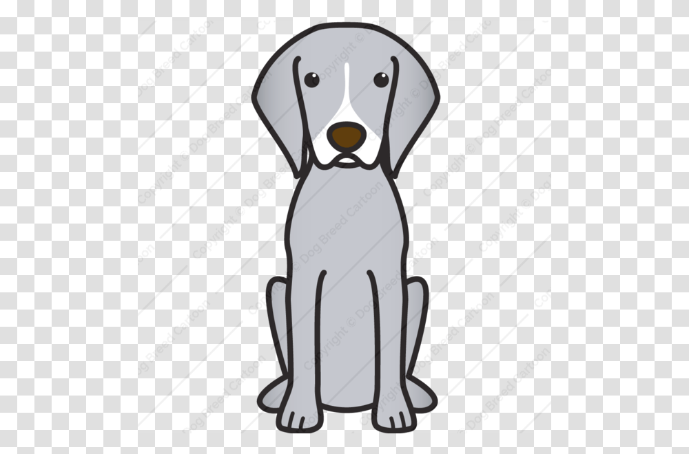 German Shorthaired Pointer, Pet, Animal, Mammal, Canine Transparent Png