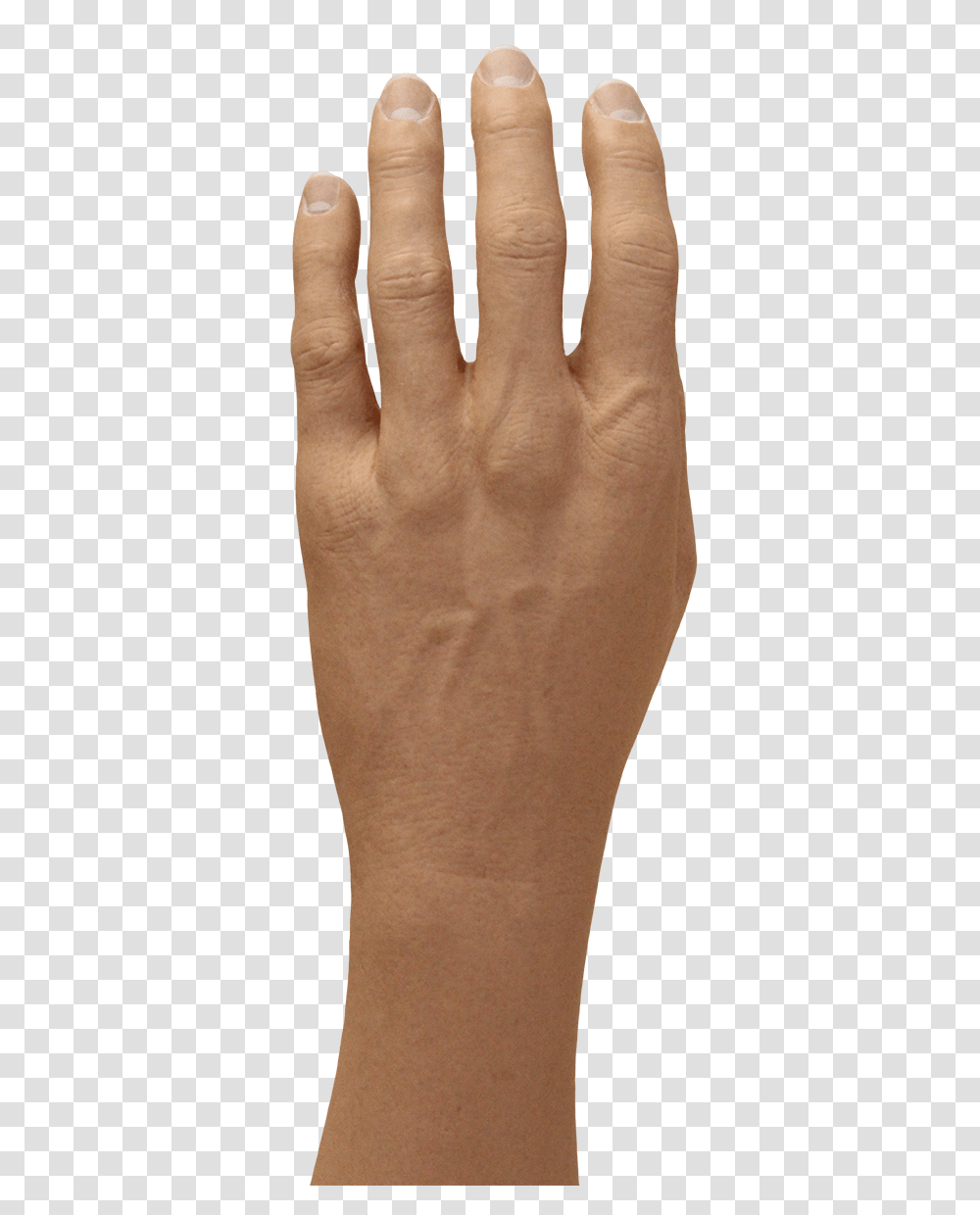 Gesture, Person, Human, Toe, Hand Transparent Png