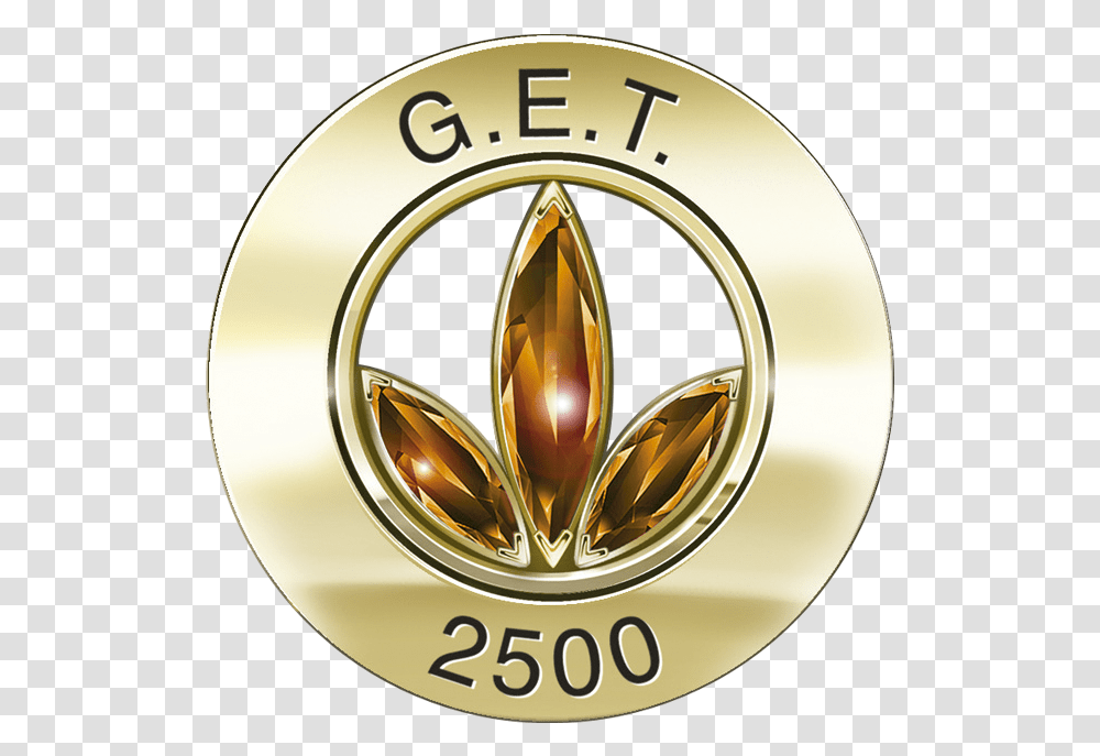 Get 2.5 Herbalife Pin, Gold, Logo, Trademark Transparent Png