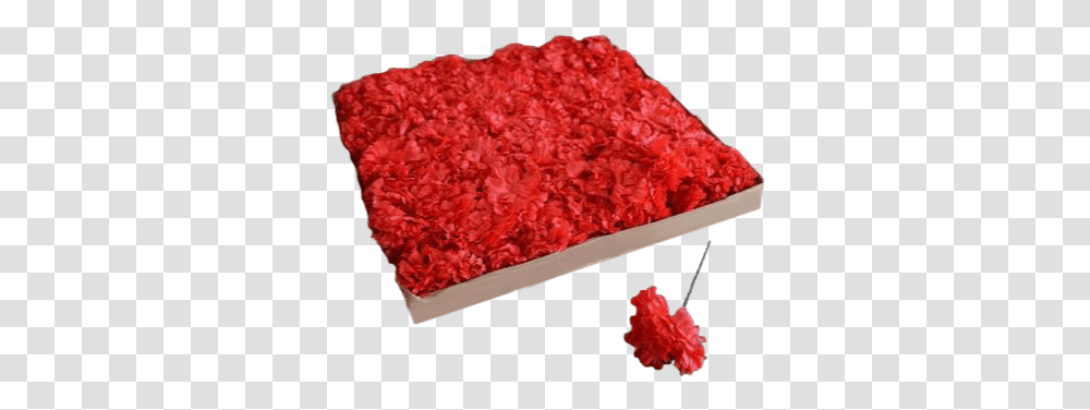 Get A Box Of Red Carnations To Insert Into Your Media Raspberry, Petal, Flower, Plant, Rug Transparent Png