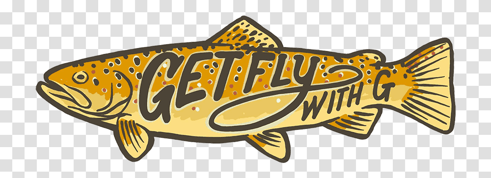 Get Fly With G Brown Trout Trout, Fish, Animal, Food, Lighting Transparent Png