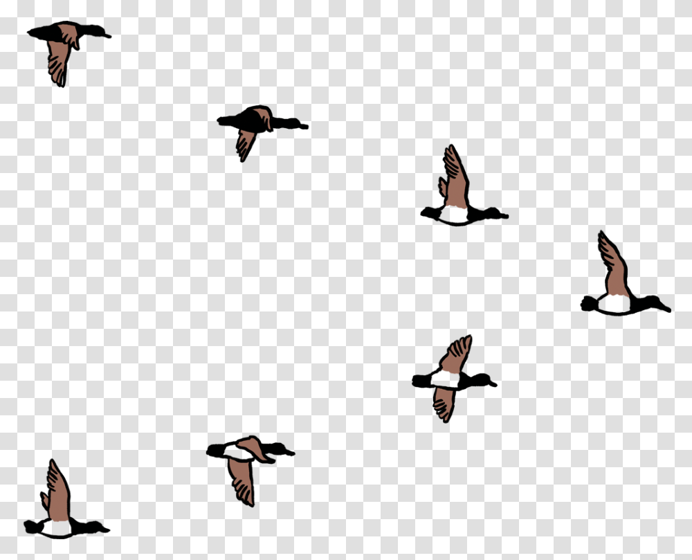 Get In Touch Assemble Communities, Bird, Animal, Flying, Flock Transparent Png