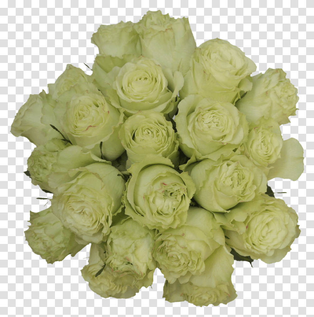 Get Lemon Green Limonada Roses Lowest Prices, Floral Design, Pattern Transparent Png