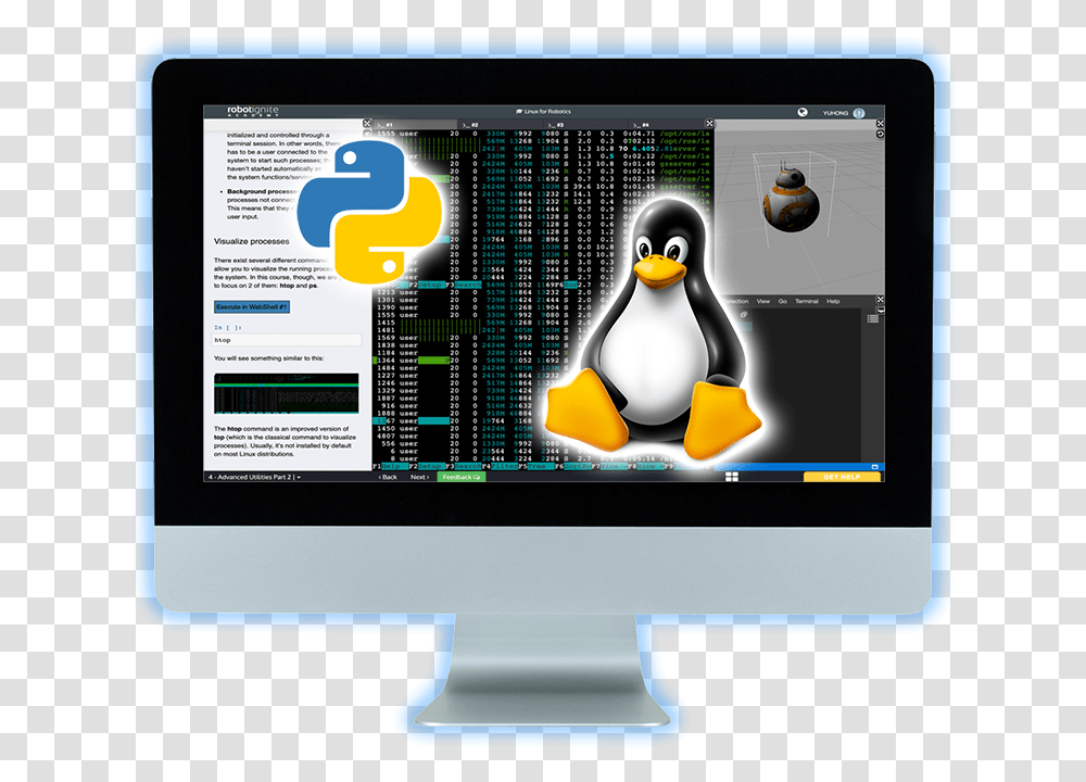 Get Python Amp Linux Ready Adlie Penguin, Bird, Animal, Electronics, Monitor Transparent Png