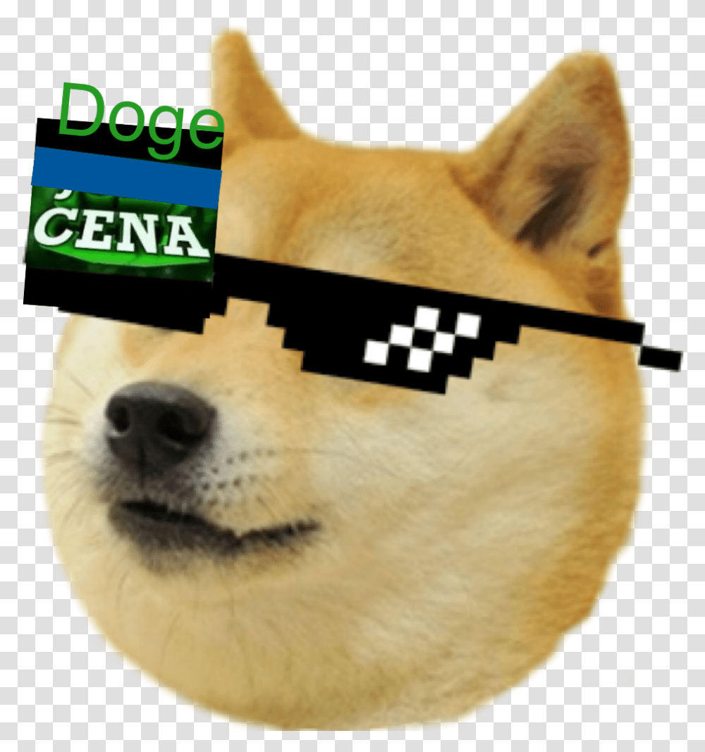Get Rekt Glasses Doge Emoji For Discord, Snout, Mammal, Animal, Canine Transparent Png