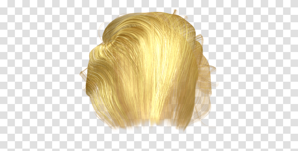 Get Something Trumped With Accurate Blond, Seashell, Invertebrate, Sea Life, Animal Transparent Png