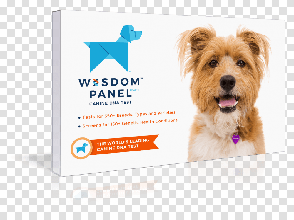 Get Started White Wisdom Panel, Dog, Pet, Canine, Animal Transparent Png