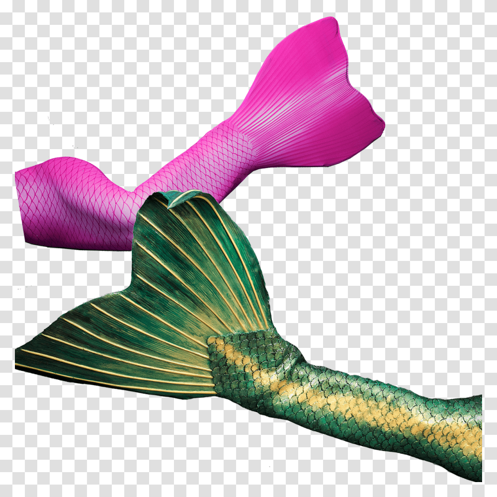 Get Your Professional Fabric Or Silicone Mermaid Tail, Footwear, Shoe, Sock Transparent Png