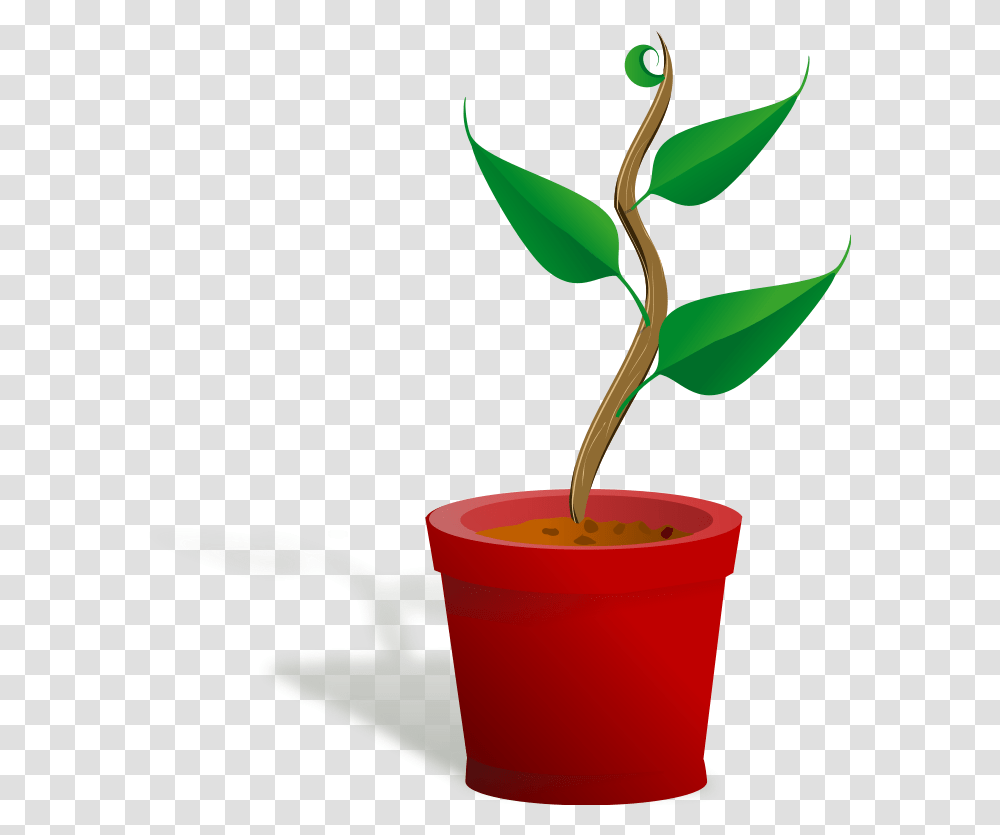 Getting To Know Plants, Sprout, Leaf, Flower, Blossom Transparent Png