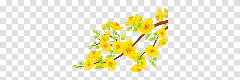 Ghim Ca Empty Trn Flowers Painting Trong 2020 Thc Vt Yellow Apricot Blossom, Plant, Petal, Hibiscus, Pollen Transparent Png