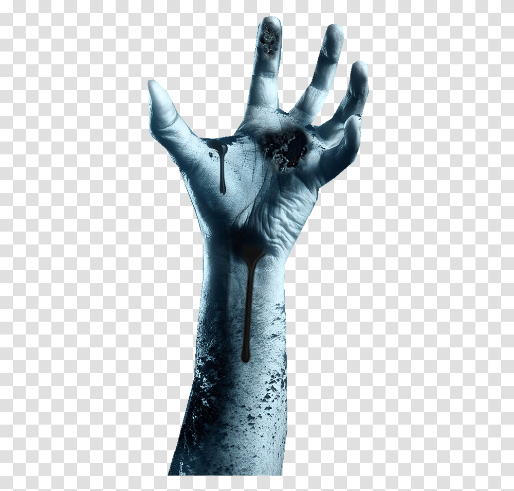 Ghost Hand, X-Ray, Ct Scan, Medical Imaging X-Ray Film, Bird Transparent Png