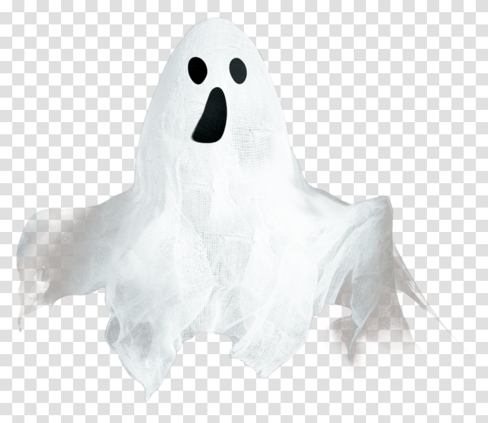 Ghost Image, Animal, Bird, Beak, Cockatoo Transparent Png