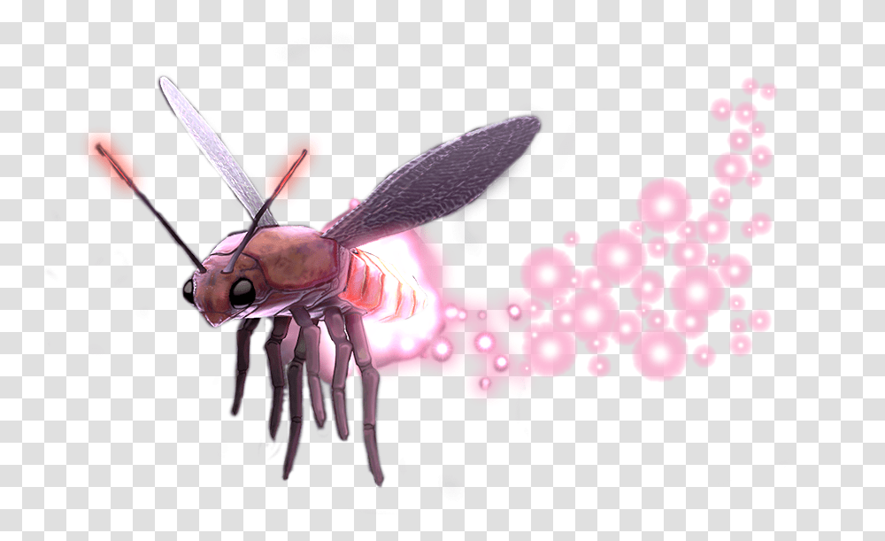Ghost88grey Twitter Parasitism, Insect, Invertebrate, Animal, Chandelier Transparent Png