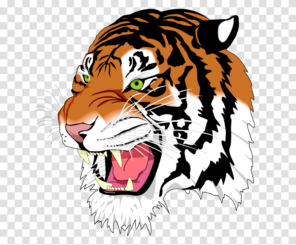 Ghostscript Tiger, Mammal, Animal, Wildlife, Person Transparent Png