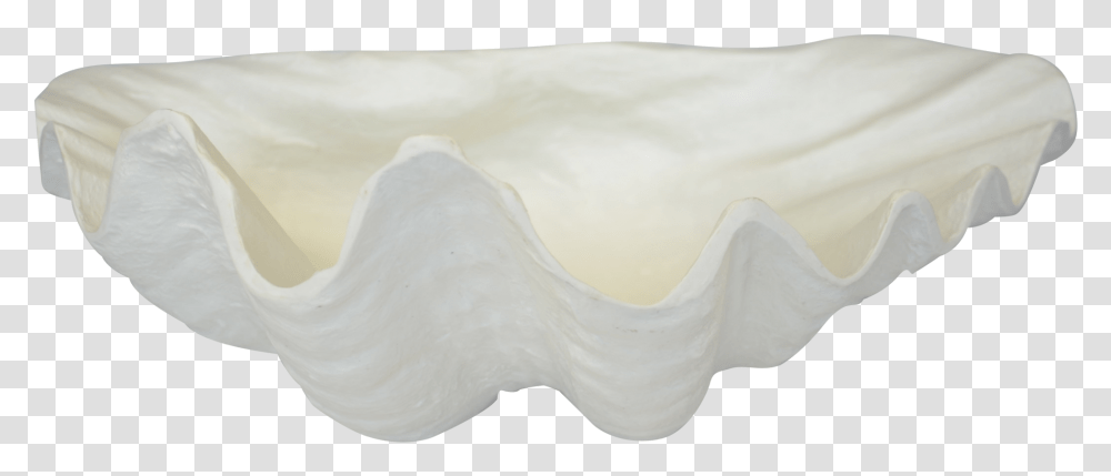 Giant Clam Art, Seashell, Invertebrate, Sea Life, Animal Transparent Png