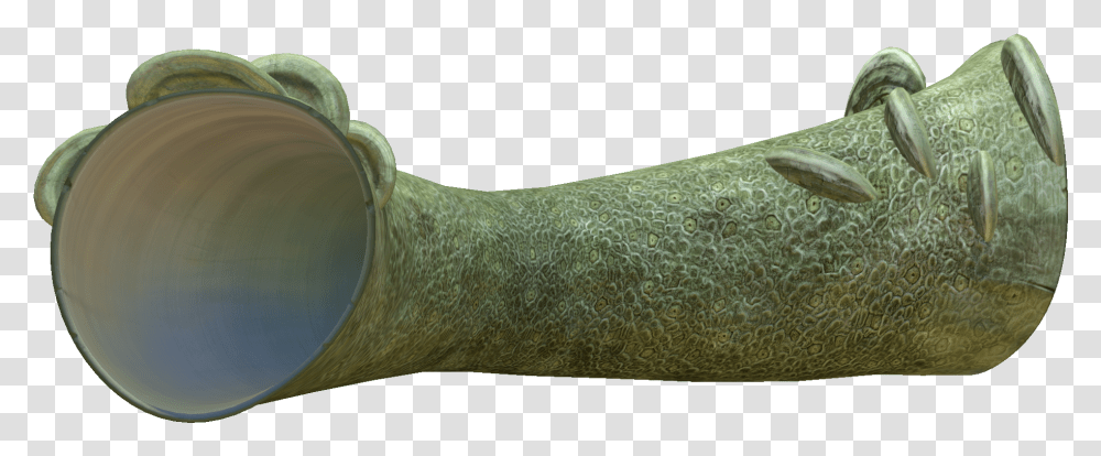 Giant Coral Tube Subnautica, Arm, Sleeve, Apparel Transparent Png