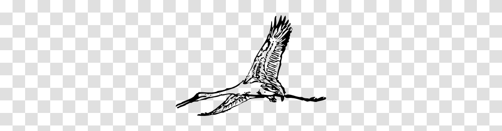 Giant Crane Clip Art, Animal, Bird, Stencil, Beak Transparent Png