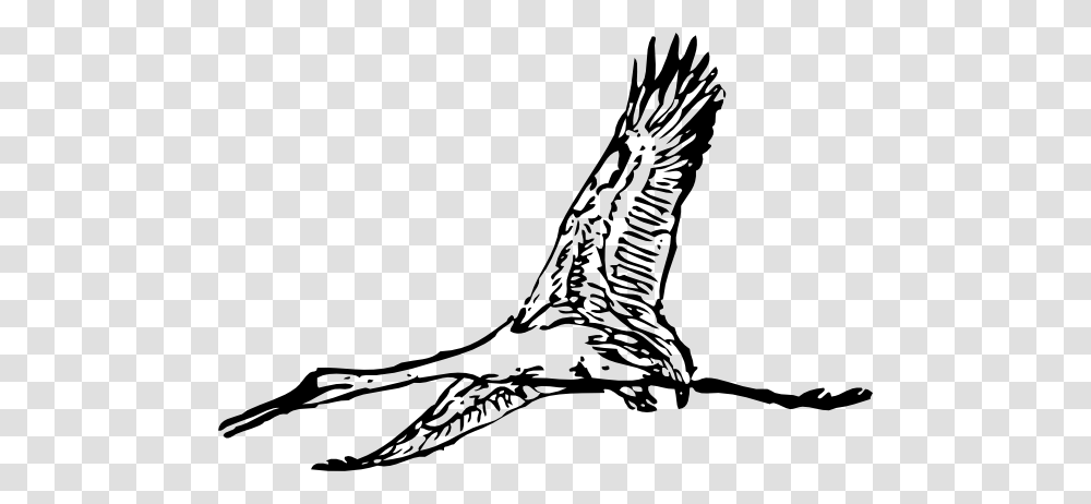 Giant Crane Clip Art Is Free, Eagle, Bird, Animal, Flying Transparent Png