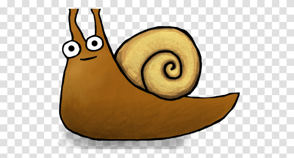 Giant Cute African Snail, Animal, Invertebrate Transparent Png