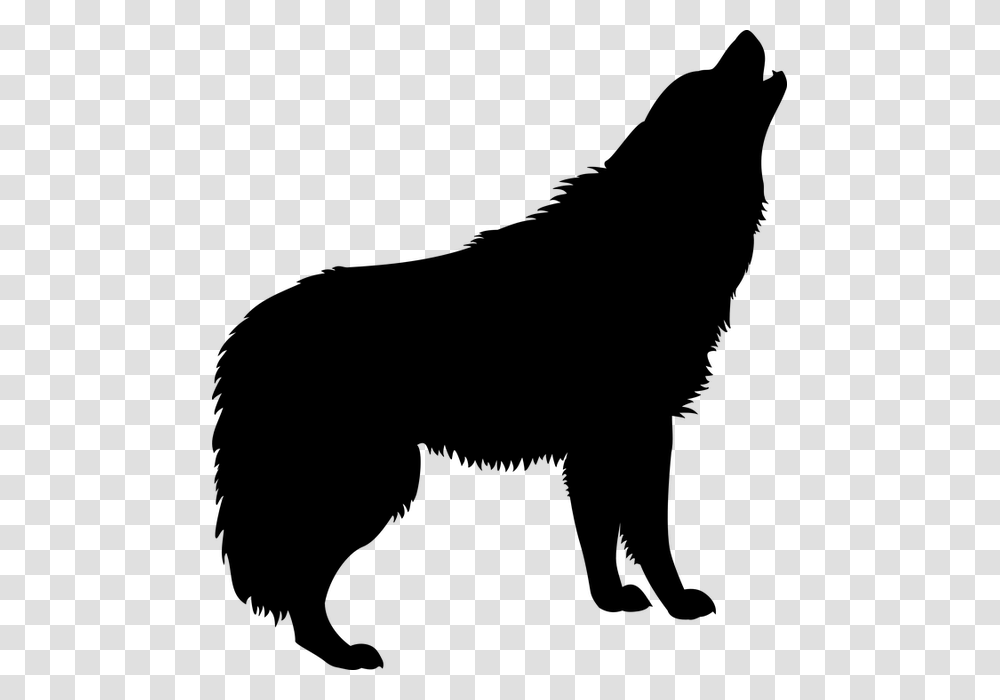 Giant Dire Wolf Attacking Dog Video From Resurfaces, Gray, World Of Warcraft Transparent Png