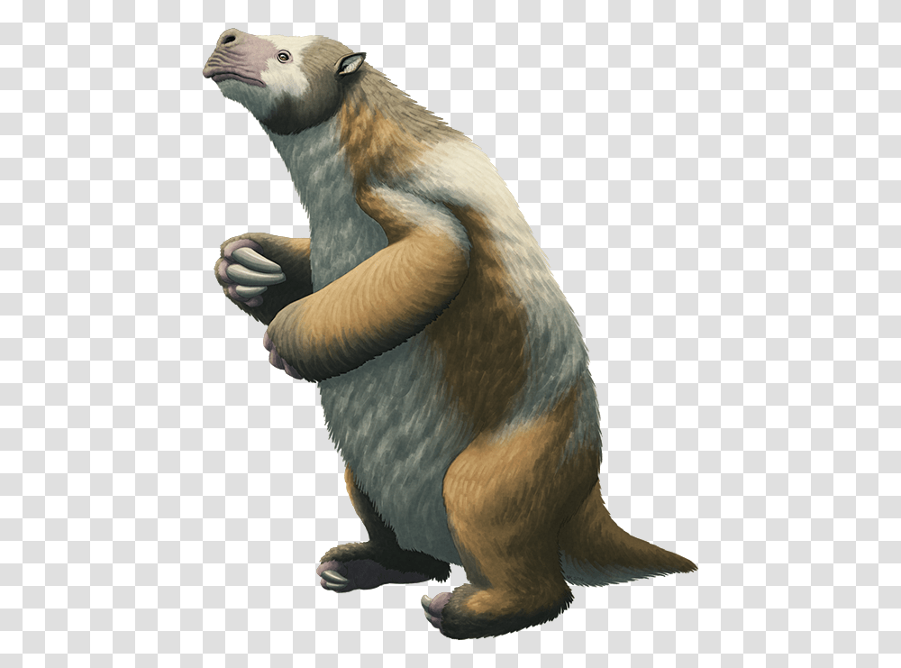 Giant Ground Sloth Megatherium Americanum Animal, Bird, Mammal, Wildlife, Figurine Transparent Png