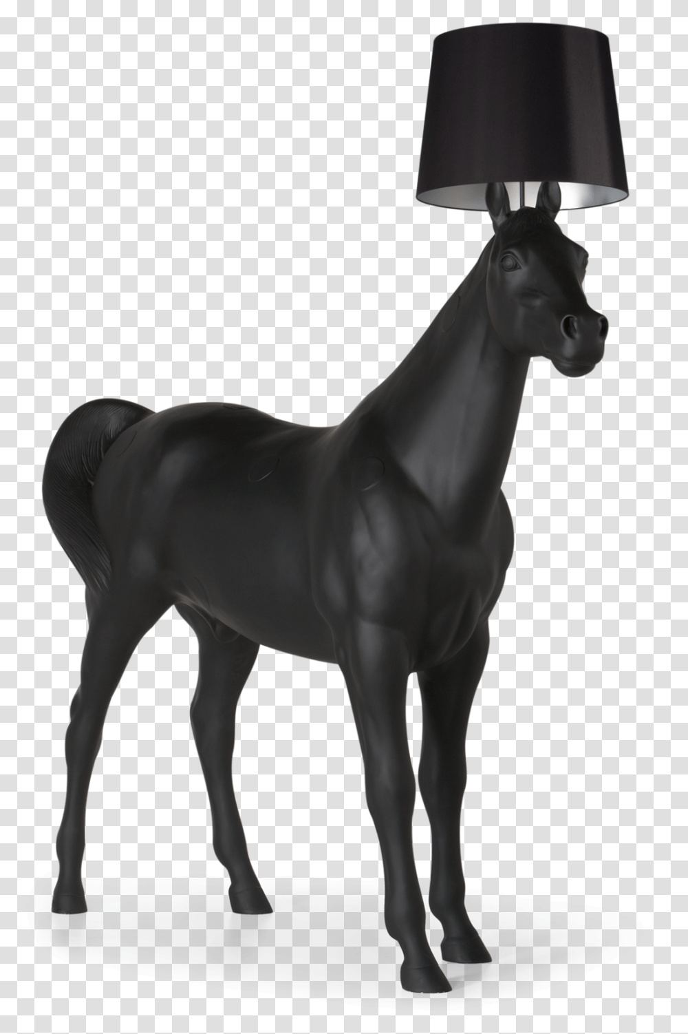 Giant Horse Lamp, Mammal, Animal, Antelope, Wildlife Transparent Png