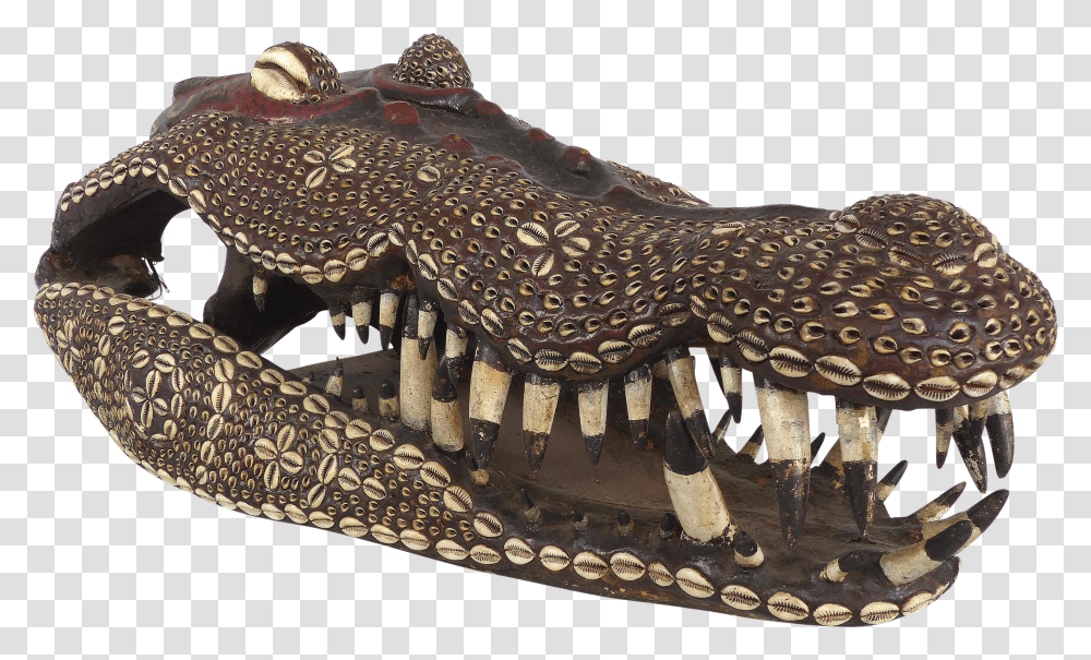 Giant Iatmul People Crocodile Skull From Middle Sepik Region Papua New Guinea American Crocodile Transparent Png