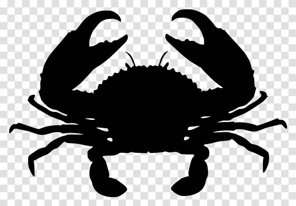 Giant Mud Crab Chesapeake Blue Crab Red King Crab Mud Crab Clipart, Gray Transparent Png