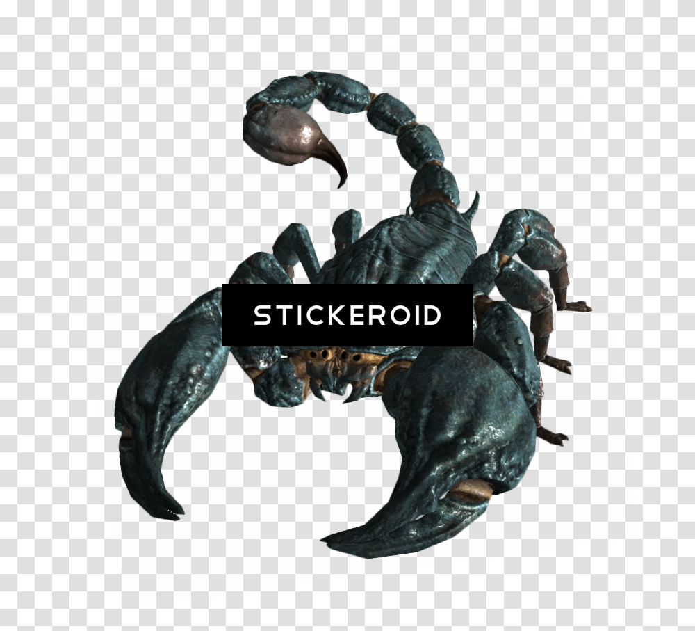 Giant Radscorpion New Vegas, Hook, Claw, Bird, Animal Transparent Png