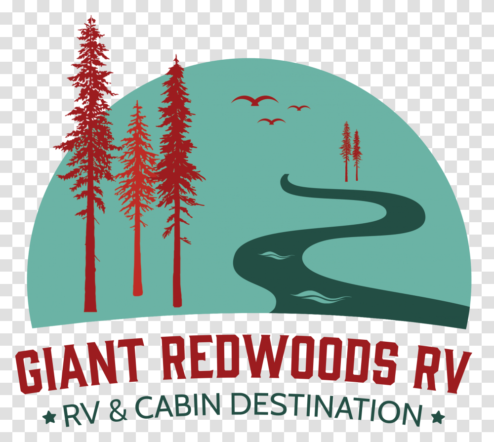 Giant Redwoods Rv And Camp In Myers Gianotti Crosti, Poster, Advertisement, Plant, Tree Transparent Png