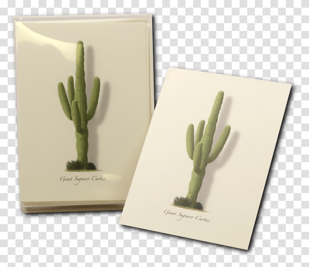 Giant Saguaro Boxed Notes Hedgehog Cactus, Plant Transparent Png