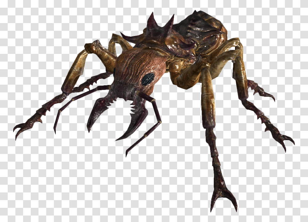 Giant Soldier Ant Fallout Giant Ant, Animal, Spider, Invertebrate, Arachnid Transparent Png
