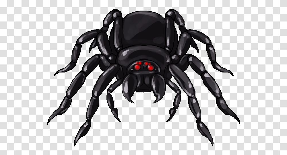 Giant Spider Clipart, Animal, Invertebrate, Sea Life, Arachnid Transparent Png