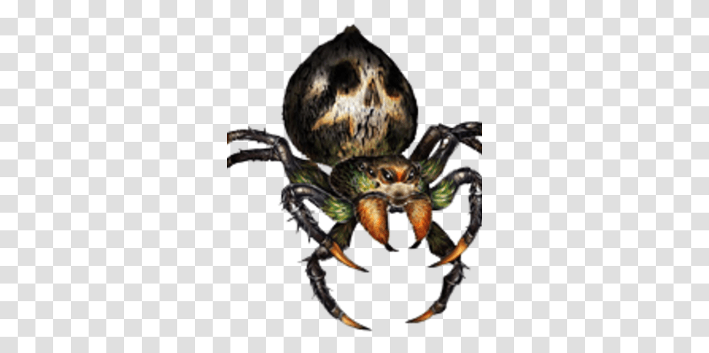 Giant Spider Dragon's Crown Wiki Fandom Giant Spiders, Invertebrate, Animal, Insect, Arachnid Transparent Png